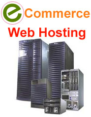 Professional Web Site Design, Web Development, E-commerce Solution