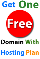 Web Hosting, Domain Names and Domain Registration, Domain Hosting